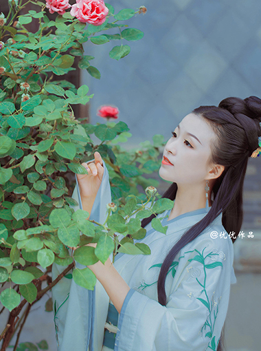月季之恋